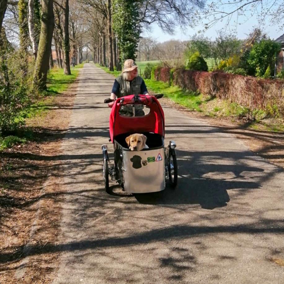 Tiq Tuq (Tiq Tuq of Dutch Print)